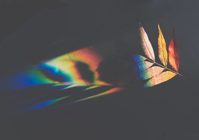 Read more about the article Llevamos años tratando de descifrar si todos los humanos vemos los colores igual. Seguimos sin respuesta