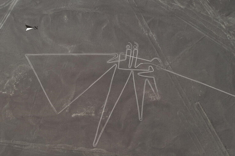 Read more about the article Seguimos descubriendo más y más Líneas de Nazca, la troleada más fascinante de la historia humana