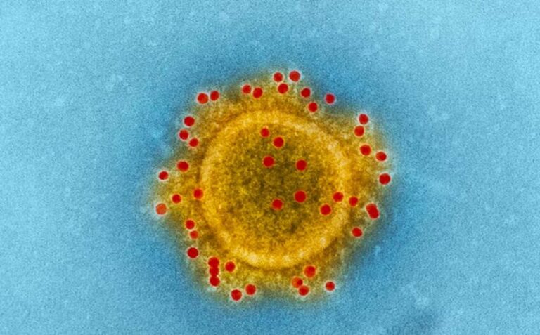 Read more about the article Un brote de “streptococcus” ha acabado con la vida de 13 niños en Reino Unido y también afecta a España: esto sabemos