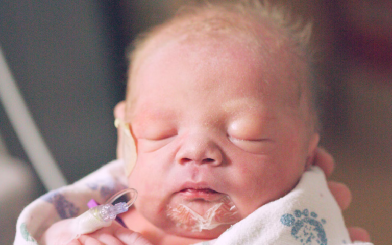 Read more about the article Invierno demográfico, crisis productiva, precariedad laboral: pero en España cada vez vive más gente