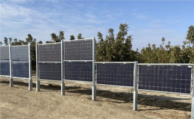 Read more about the article Paneles solares verticales que funcionan por ambas caras: la idea de una empresa para impulsar la “agrovoltaica”