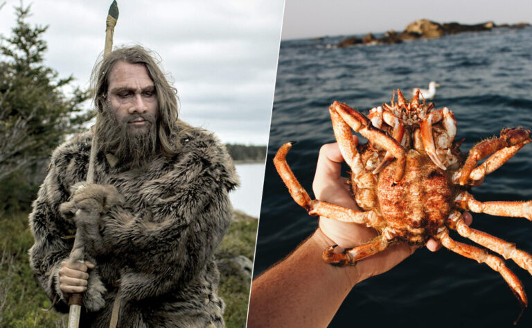 Read more about the article Si la pregunta es “a quién se le ocurrió comer marisco por primera vez”, ya sabemos la respuesta: a los neandertales