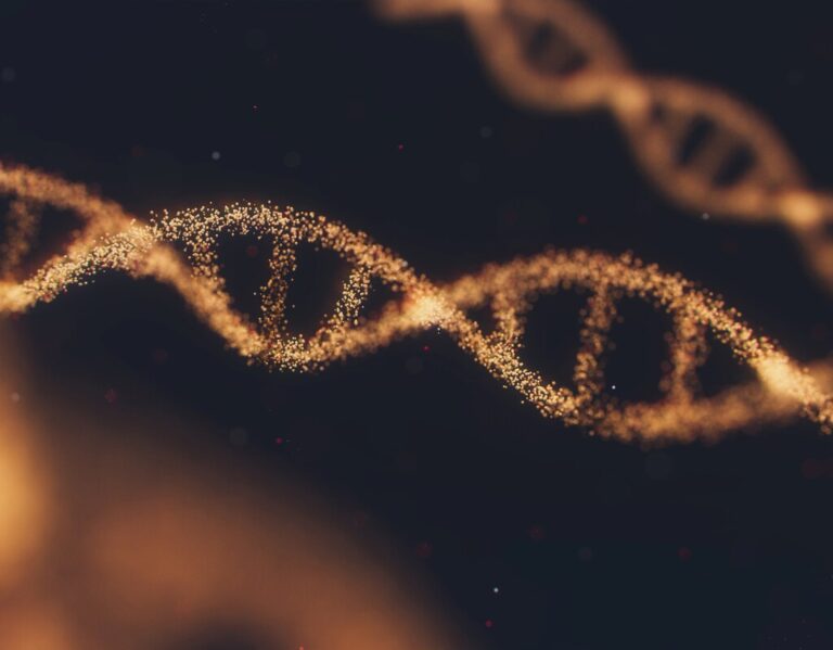 Read more about the article Aún no tenemos claro lo que hace el 98% de nuestro ADN, pero sabemos que nuestro “ADN basura” es importante