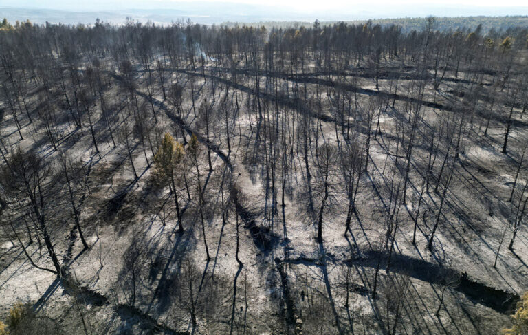 Read more about the article El incendio de Castellón solo es un anticipo de lo que nos espera: Cómo los incendios de sexta generación lo van a cambiar todo