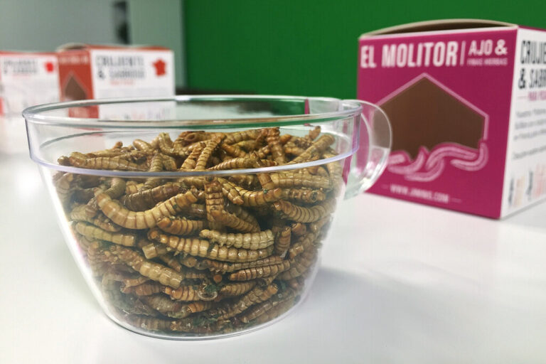 Read more about the article La mayor granja de insectos del mundo se está construyendo en Salamanca (y la UE aprueba que nos los comamos)