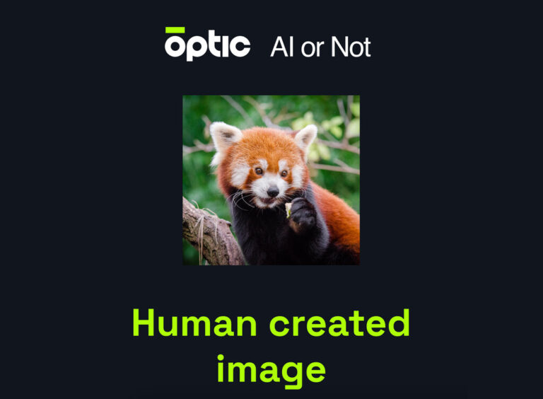 Read more about the article Cada vez es más difícil distinguir las imágenes generadas por IA: esta web promete decir la verdad (pero tiene truco)