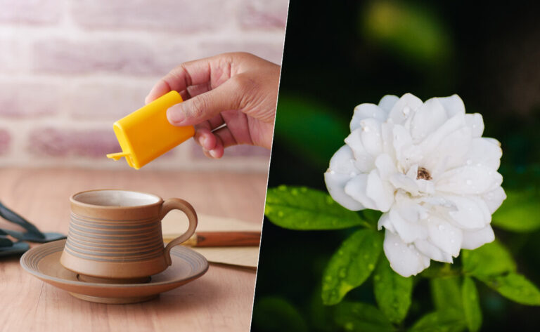 Read more about the article Lo que la OMS ha dicho realmente (y lo que no) sobre edulcorantes como la sacarina y la estevia