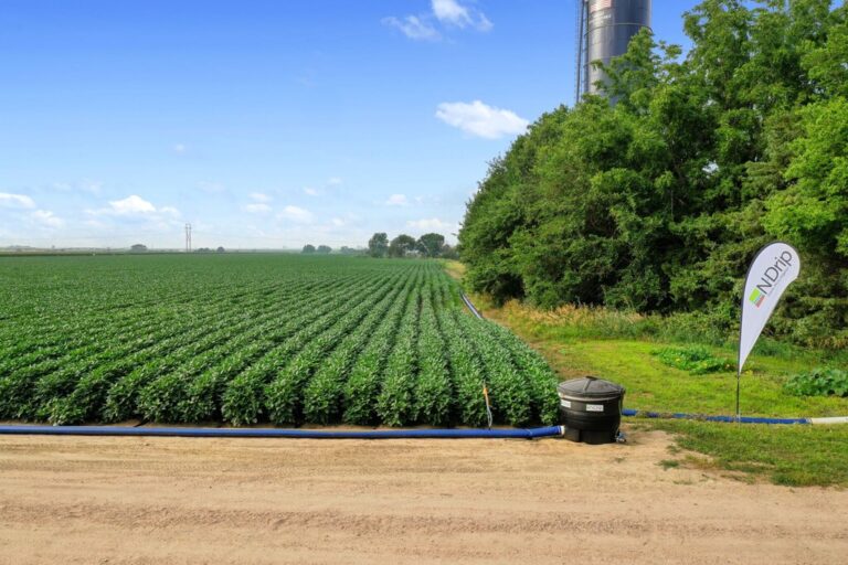 Read more about the article Microgoteo y por gravedad: el sistema que quiere revolucionar el riego en previsión de más y más sequías