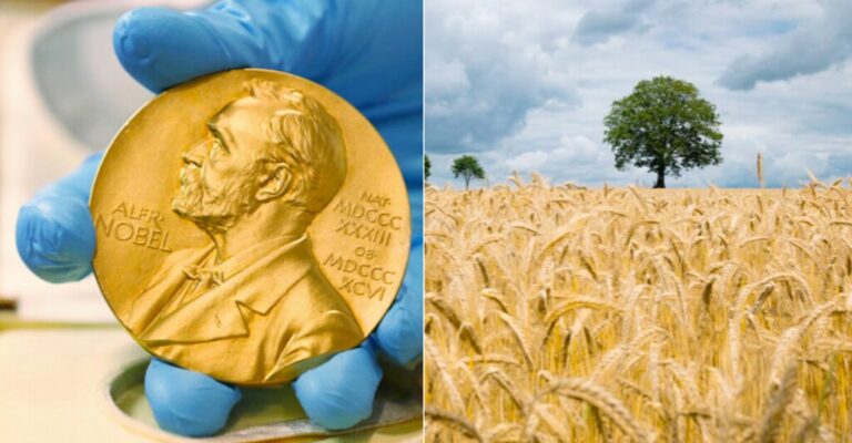 Read more about the article Se ofrece trabajo de investigador en Castilla y León. Requisitos: ser premio Nobel