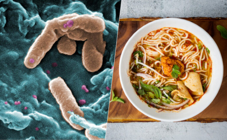Read more about the article Una microbióloga abrió la nevera y se encontró con que su sopa se había puesto azul. Obviamente tuvo que investigar el asunto