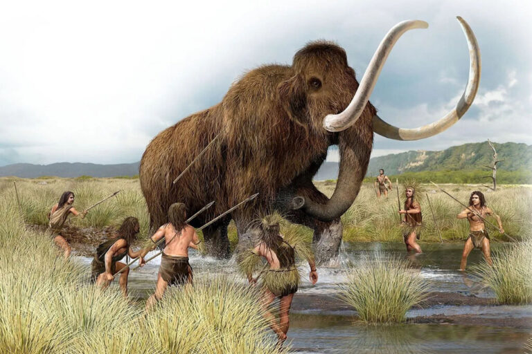 Read more about the article Lo natural era comer sólo carne: por qué el ser humano tardó miles de años en probar los vegetales