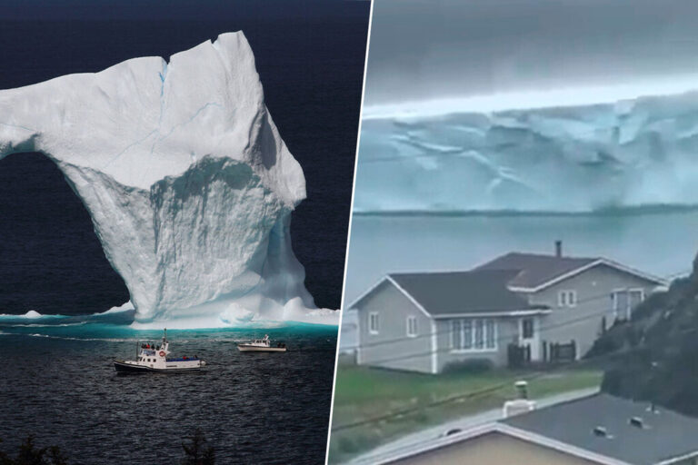Read more about the article Terranova ha visto cómo un colosal iceberg se acerca a su costa. El espectáculo es sorprendente; el fenómeno, no
