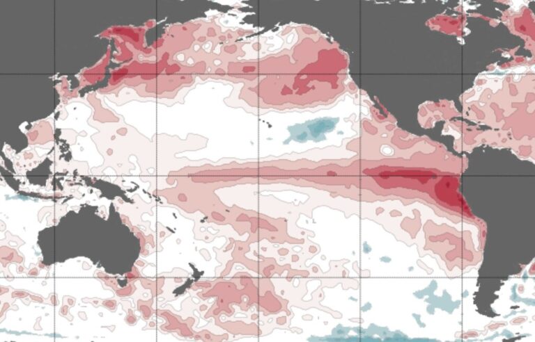 Read more about the article Australia ha aguantado tres meses sin declarar oficialmente El Niño. Eso acaba de cambiar y tiene implicaciones