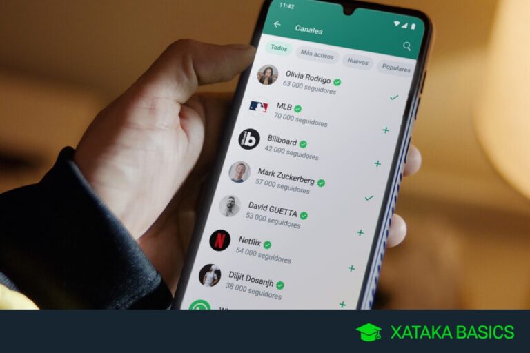 Read more about the article Canales de WhatsApp: qué son, qué ofrecen y cómo utilizarlos