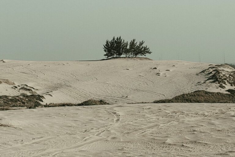 Read more about the article Generar agua en el Valle de la Muerte es tecnológicamente posible. Sólo hay un problema: la maldición de Jevons