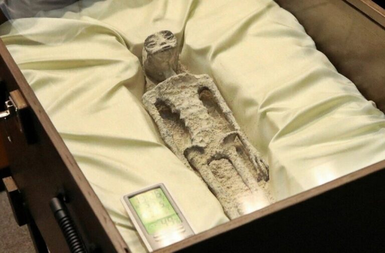 Read more about the article “No estamos solos”: México acaba de llevar al Congreso dos cuerpos de supuestos extraterrestres