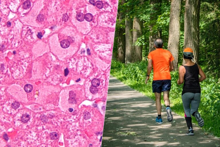 Read more about the article Ozempic ha sido un éxito apabullante. Es solo el principio de una nueva era de fármacos contra la obesidad