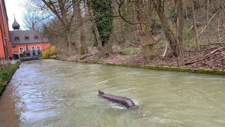 Read more about the article Represar ríos para generar energía tiene cada vez menos aliados. Una empresa ofrece sustituto: enjambres de turbinas