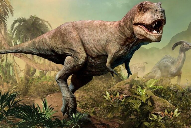 Read more about the article Los brazos ridículamente pequeños del Tyrannosaurus rex siempre habían sido un misterio. Hasta ahora