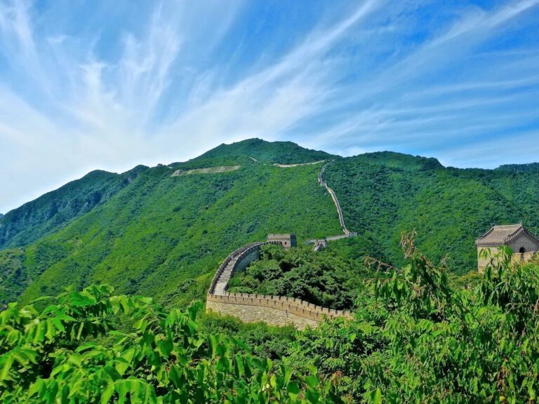 Read more about the article China está llevando a cabo el proyecto de reforestación más ambicioso del mundo: un “muro” de 4.500 kilómetros de árboles
