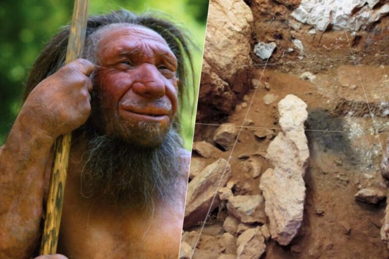 Read more about the article Solemos ver a los neandertales como una especie distinta, ¿y si nos equivocamos?